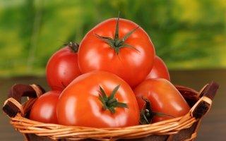 Лучшие сорта томатов: описания, достоинства, недостатки - фото