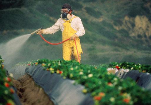 Классификация пестицидов с фото