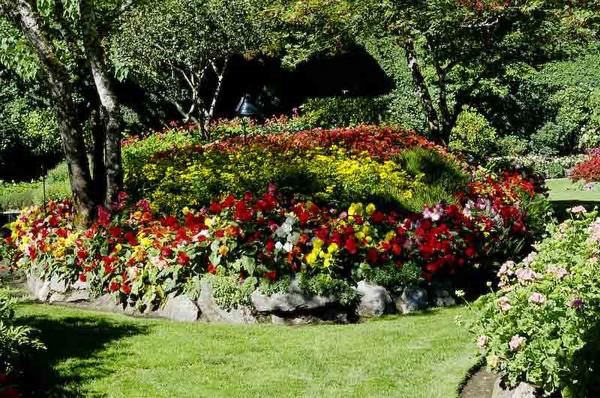 Цветоводство в любимом саду без границ - фото