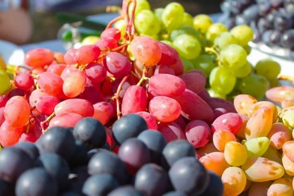 Популярная десятка сортов мускатного винограда - фото