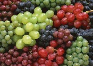 Сорта винограда по алфавиту : ФОТО - фото