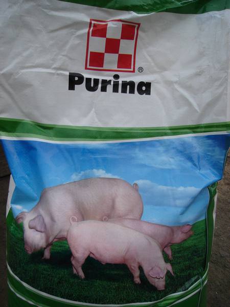Пурина корм для свиней: как давать, состав и отзывы с фото