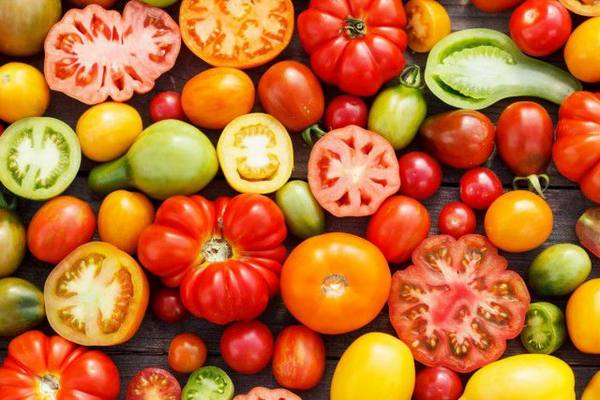 Содержание витаминов в помидорах с фото