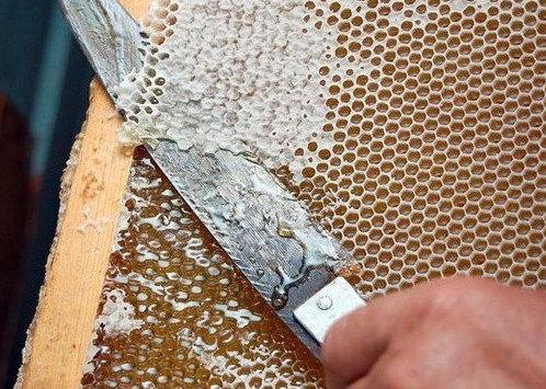Что такое забрус в пчеловодстве и как им лечиться - фото